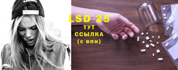 прущие грибы Армянск