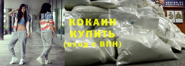 эйфоретик Арсеньев