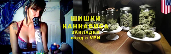прущие грибы Армянск