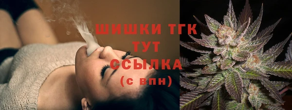 эйфоретик Арсеньев