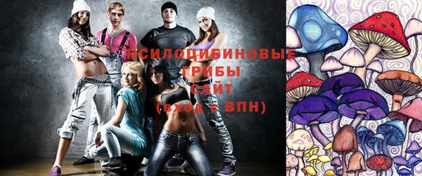 эйфоретик Арсеньев