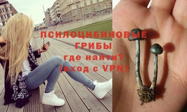 прущие грибы Армянск