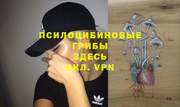 прущие грибы Армянск