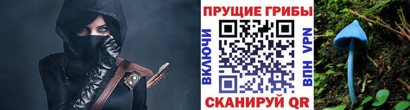 сколько стоит  Рыбное  blacksprut ссылки  Галлюциногенные грибы MAGIC MUSHROOMS 
