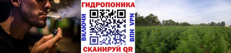 shop формула Рыбное Марихуана THC 21%